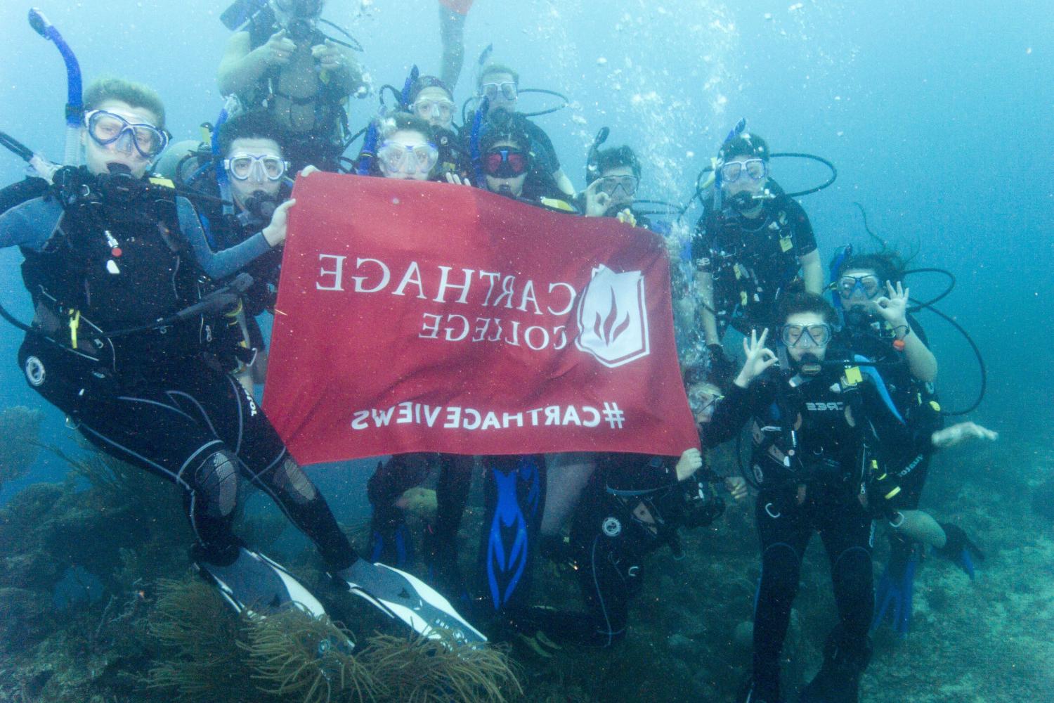学生们手持<a href='http://fyie.ngskmc-eis.net'>博彩网址大全</a>旗帜，在j学期洪都拉斯游学之旅中潜水.